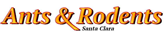 Santa Clara Ant Exterminator & Rodent Control Company Logo